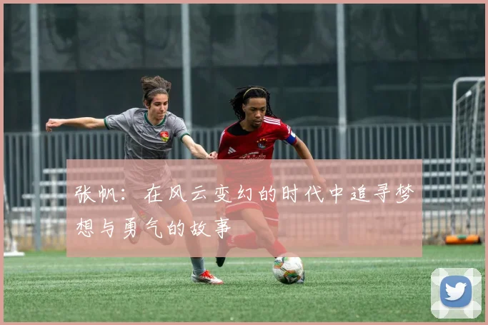张帆：在风云变幻的时代中追寻梦想与勇气的故事